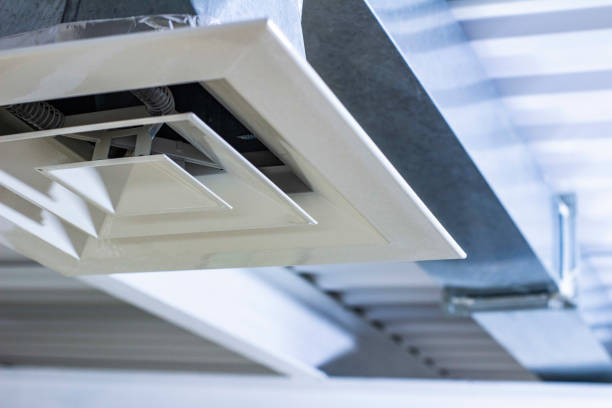 Best Air Duct Cleaning Company Near Me  in Silver Lake, FL