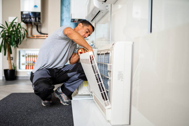 Best Professional Duct Cleaning Services  in Silver Lake, FL