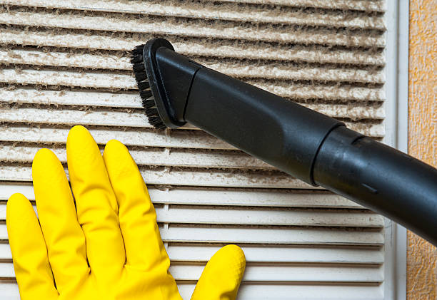 Best HVAC Air Duct Cleaning  in Silver Lake, FL